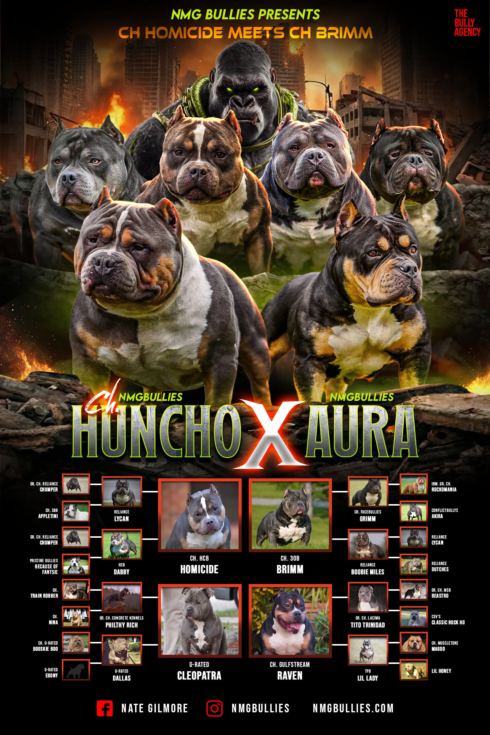NMG Bullies presents CH Homicide meets CH Brimm breeding poster with full pedigree